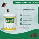 Pro360 Weight Gainer Chocolate 500g | More Calorie |Dietary Supplement |Ready To Serve |Weight Gain For Men & Women