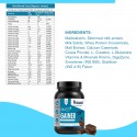 PRO360 Mass Gainer Protein Powder - Special Formula for Lean Mass Gainer with Digestive Enzymes (34.5g Protein per serving + L-Glutamine + L-Creatinine)