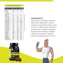 Pro360 Muscle Gainer Protein Powder - Special Formula for Muscle Gain with BCAA + L-Creatine + Digestive Enzymes (38g Protein per 75g serving)