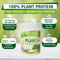 Pro360 Plant Protein – 25g Protein with Essential Vitamins & Minerals - 100% Vegan - Pea, Brown Rice Protein for Energy Boost and Muscle Health - Green Tea, Curcumin Extract