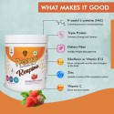 Pro360 Respiro Nutritional Protein Supplement with N-Acetyl L-Cysteine (NAC) for Respiratory Wellness 