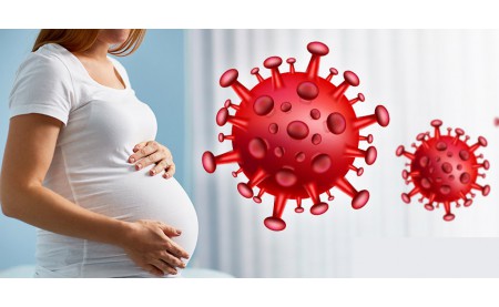 The Pregnancy In The Times Of Covid-19 Pandemic
